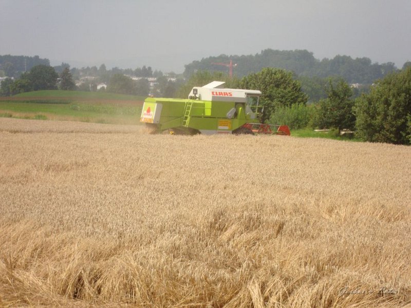 Claas Drescher 47